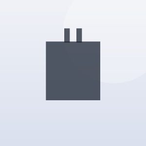 30W Dual-Port Wall Charger